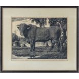 C F Tunnicliffe - 'The Shorthorn Bull' early wood engraving, framed and glazed. Image size 23cm x