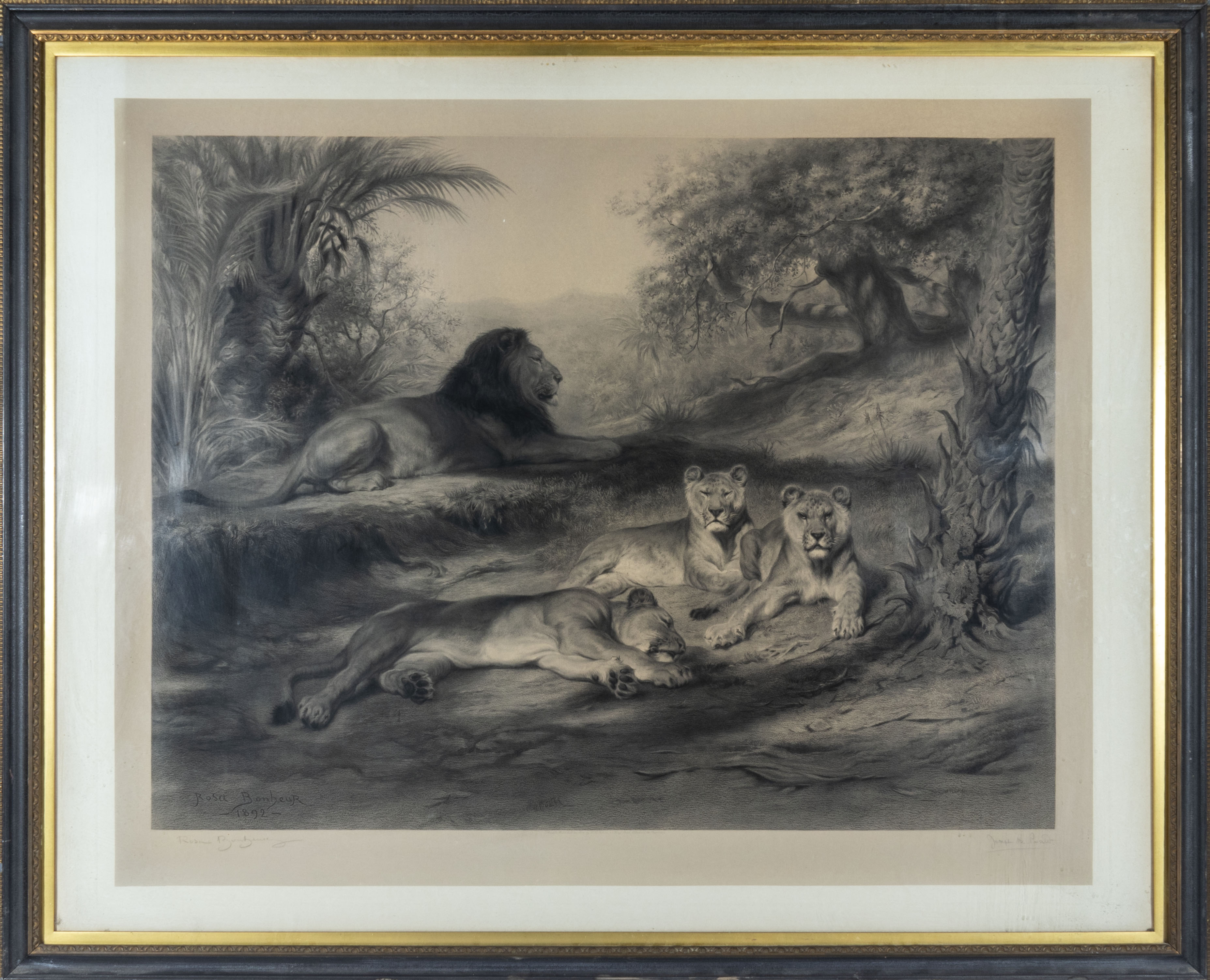 Rosa Bonheur - A large framed engraving 'A Pride of Lions' signed to bottom left 1892. Engraved by