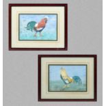 Two framed watercolours of chickens 16cm x 24cm signed Joan Robson