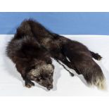 A silver fox fur stole
