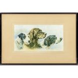 A framed print of three dogs, image size 16cm x 30cm