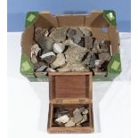 Two boxes of fossils