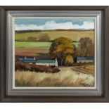 Andrew Binnie - Framed oil on canvas 'Autumn Landscape Oxnam' signed. 25cm x 29cm