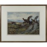 Archibald Thorburn (1860-1935)A large framed print signed in pencil depicting grouse 65cm x 55cm
