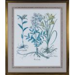 A large framed print depicting wild flowers