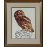 A framed printed on fabric picture of an owl. 27cm x 20cm