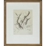 Benno Schotz RSA (1891-1984) A framed drawing possibly a preliminary study of trees for his