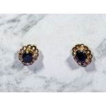 A pair of small 9ct gold and sapphire earrings