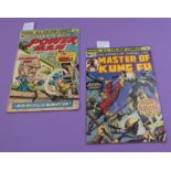 2 Marvel comics No.28 Dec 1975(Power Man) No.36 Jan. 1976 (Master of Kung fu)