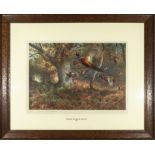 A framed signed print by Archibald Thorburn titled Pheasants through the Oakwood 1925, image size