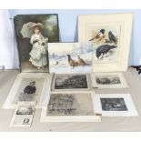 A collection of unframed prints and watercolours including Thorburn's Jackdaw and Crows