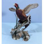A pottery ring necked pheasant