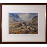 Archibald Thorburn - framed limited edition coloured print Ptarmigan in the Glen #53/850 image