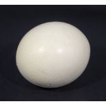 An ostrich egg