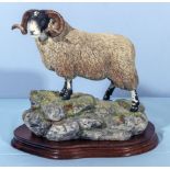 A Border Fine Arts figure group BO354 Blackie Tup