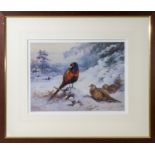 Archibald Thorburn - framed limited edition coloured print Pheasants in Snow #53/850 image size 28cm