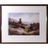 Archibald Thorburn - framed limited edition coloured print Grouse in a Highland Landscape #53/850