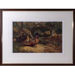 Archibald Thorburn - framed limited edition coloured print On the Alert #53/850 image size 31cm x