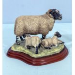 A Border Fine Arts figure group A1244 Black Face Ewe and Lambs