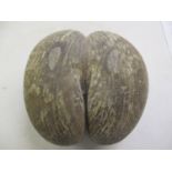 A vintage Coco de Mer nut