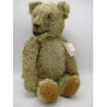 A 1915 American teddy bear with open, felt lined mouth (teeth missing) having a jointed body