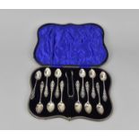 A cased set of Edward VII silver teaspoons and tongs by Marples & Co, Birmingham 1906, with