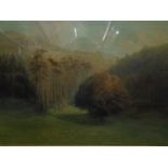 A Fisher - 'The Fairy Glen Sandbridge Park by The Dart' - watercolour landscape with grassland