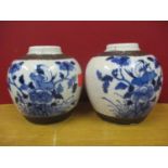 Two late 19th/early 20th century Chinese blue and white crackle glazed ginger jars 13cm high