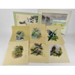 A collection of seven Korean silk embroidered ornithological works, depicting different types of