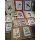 A quantity of coloured antiquarian book plates and prints of birds and wildlife together with one of