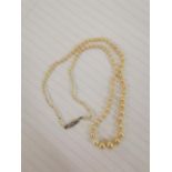 A pearl necklace with white metal clasp set with diamonds Location: Cab