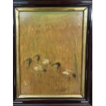 A mid 20th century oil on board, Birds in a Meadow, signed Colin dated '67, 34cm x 25cm Location: