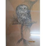 David Vaughan Wicks (RE) - etching of a young owl perched upon a branch, signed and numbered in