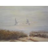 Hans Bauer - a coastal scene with two geese in flight, oil on canvas, signed 59.5cm x 49cm