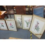 After Redoule, five botanical prints, framed and glazed