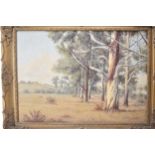 Guiseppe Catly (1914-1944) South African landscape with gum trees, oil on canvas signed LR, 51cm x