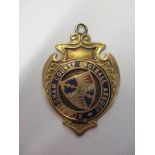 A 9ct gold Birmingham County Football Association medal