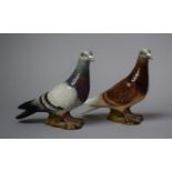 Two Beswick Pigeons, no.1383A and 1383B
