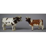 A Beswick Ayrshire Bull 'Ch. Whitchill Mandate' (Loss to Horn) and Ayrshire cow 'Ch. Ickham