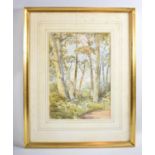 A Gilt Framed Watercolour, Silver Birch Trees, Signed Leonard, Circa 1910, 36x25cms