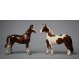 A Beswick Study of a Pinto Pony and Pony, Pinton 16cm High and Pony 16cm High