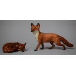 Two Beswick Fox Figures, Standing Fox 23cm Wide and Curled Sleeping Fox no.1017