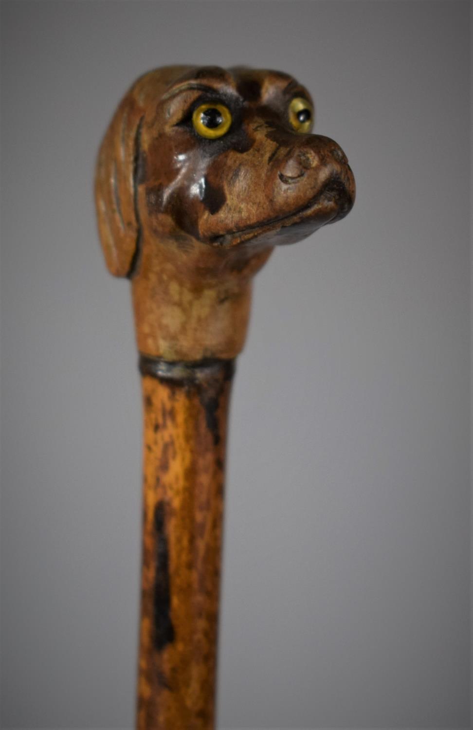 A 19th Century Bamboo Shafted Stick with Carved Dogs Head Finial Having Glass Eyes, 74cms Long