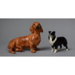 A Coalport Study of Dachshund and a Beswick Sheep Dog