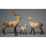 A Beswick Deer Family to Comprise Stag, Doe and Fawn, Stag AF