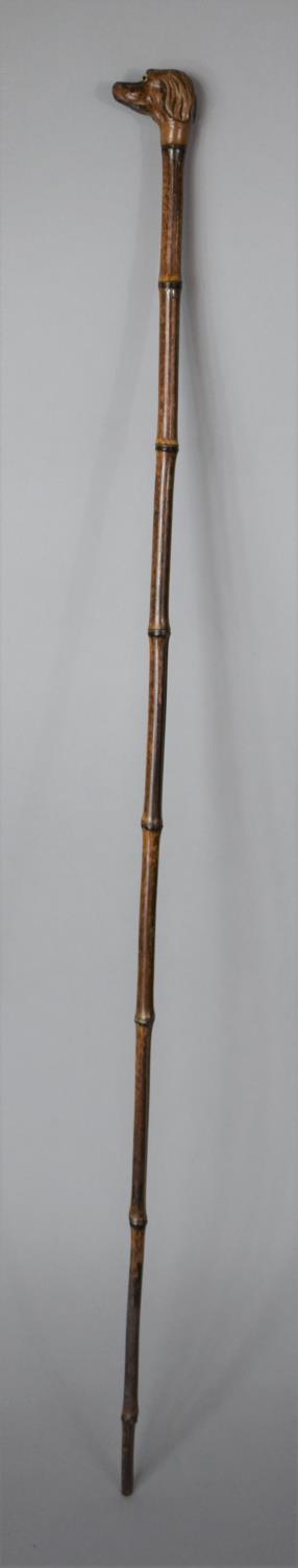 A 19th Century Bamboo Shafted Stick with Carved Dogs Head Finial Having Glass Eyes, 74cms Long - Image 2 of 2