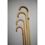 A Collection of Four Wooden Walking Sticks