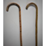 Two Small Canes