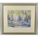 A Framed Watercolour Depicting Bluebell Wood Path, 38x29cm