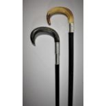 Two Horn Handled and Ebonised Walking Canes, One with Silver Mount